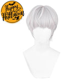 【In Stock】Game Light and Night Cosplay Qisili Cosplay Wig Cosplay Wigs